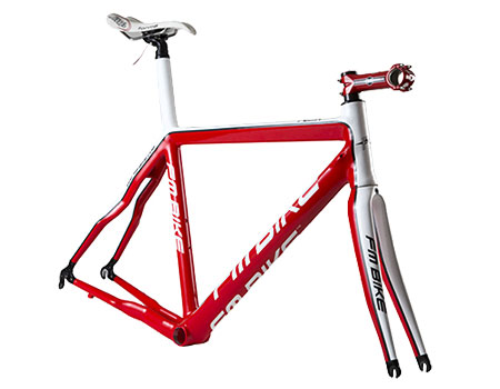Puma Road Frame Puma Road Frame